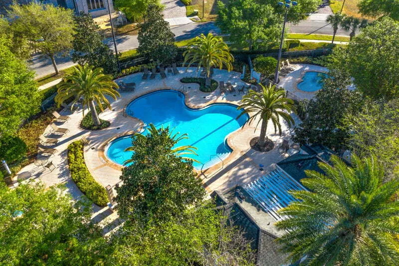 Homestead community pool surrounded by palms